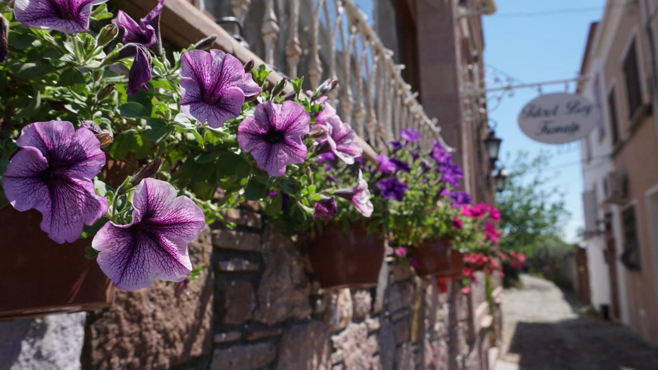 فندق Fikretbey Konagi Ayvalı المظهر الخارجي الصورة
